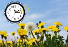 Changement d’heure : comment se préparer au passage à l’heure d’été ?