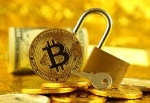 La crypto-monnaie est-elle sûre ? Choses à savoir