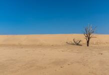 “Sans financement clair, la France ne pourra pas atteindre ses objectifs climatiques”