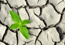 Le ministre français de l’Environnement partage de “sérieuses inquiétudes” concernant un autre été sec