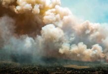“Peu probable” que la fumée des incendies au Canada affecte la qualité de l’air en Europe