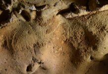 Des gravures de Néandertal vieilles d’au moins 57 000 ans identifiées près de Tours