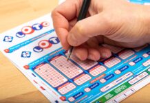 Loto : les résultats du samedi 19 août 2023