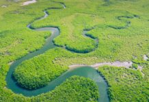 Même tenues, les promesses « anti-déforestation » de Lula peuvent-elles vraiment sauver l’Amazonie ?