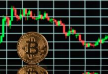 Le Bitcoin Enregistre Sa Plus Forte Baisse Depuis 9 Mois, La Faute À Spacex ?