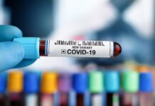 Covid-19 : faut-il avoir peur du nouveau variant Eris ?