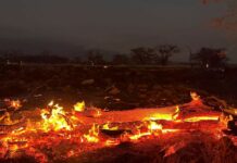 Incendies à Hawaii : Joe Biden déclenche l’état de catastrophe naturelle et débloque l’aide fédérale