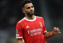 Qui est Gonçalo Ramos, le futur 9 du PSG ?