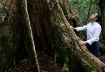 Macron accusé de « mépris » dans sa gestion du sommet brésilien sur l’Amazonie, les élus guyanais amers