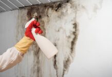 Les zones les plus susceptibles de développer des moisissures cachées dans les maisons