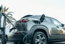 L’ENQUÊTE : FINANCIÈRE DU MARCHÉ ST HONORÉ : Arnaque ? La Vérité Révélée par l’Audit de Décembre 2024 et les Avis des Experts