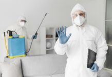 13 raisons de consulter un service d’extermination professionnel à Montréal