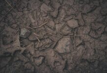 Étude de sol pour construction : prix, types, démarches et conseils pratiques